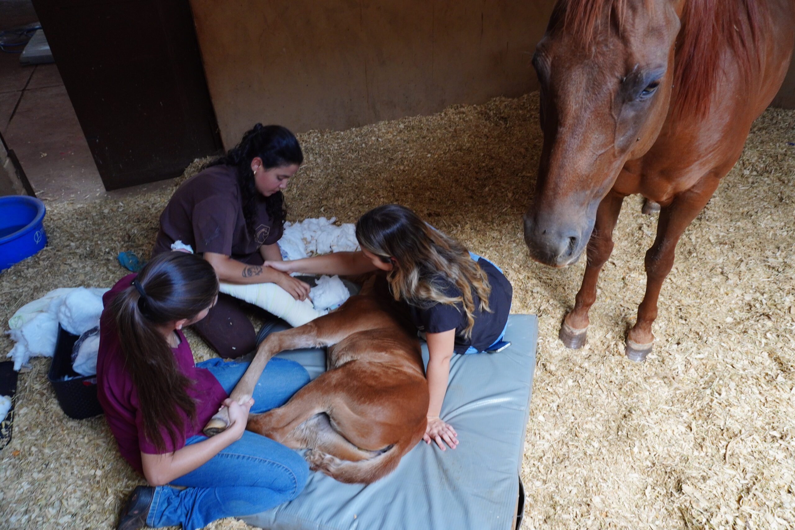 Pós graduação, Cursos Imersivos Rápidos e Estágios extracurriculares.