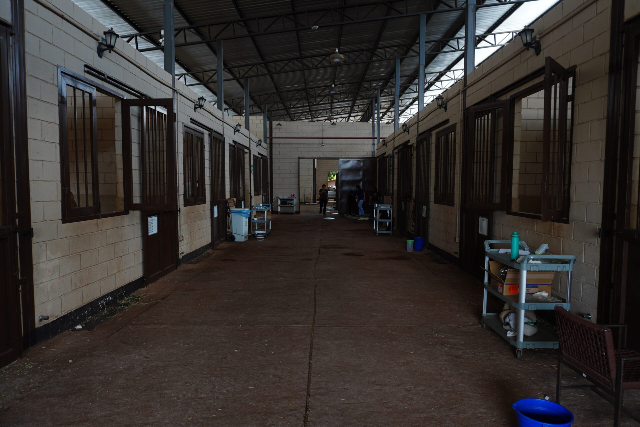 estrutura equus center