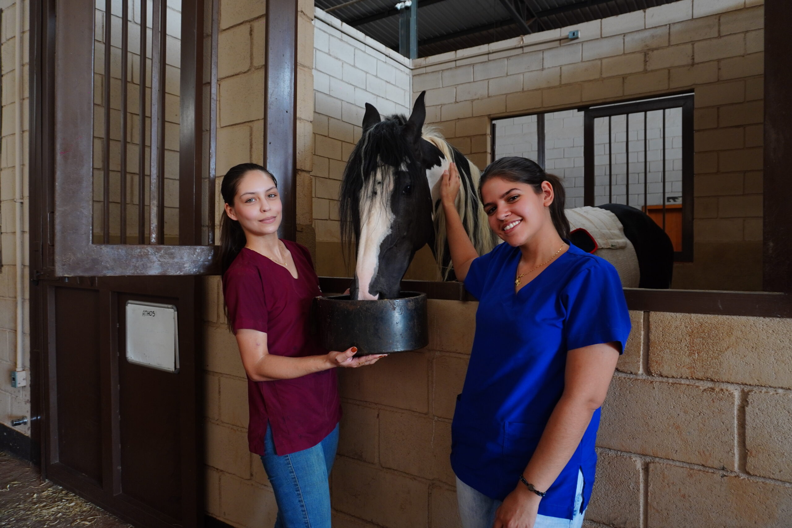 Imagem do equus center