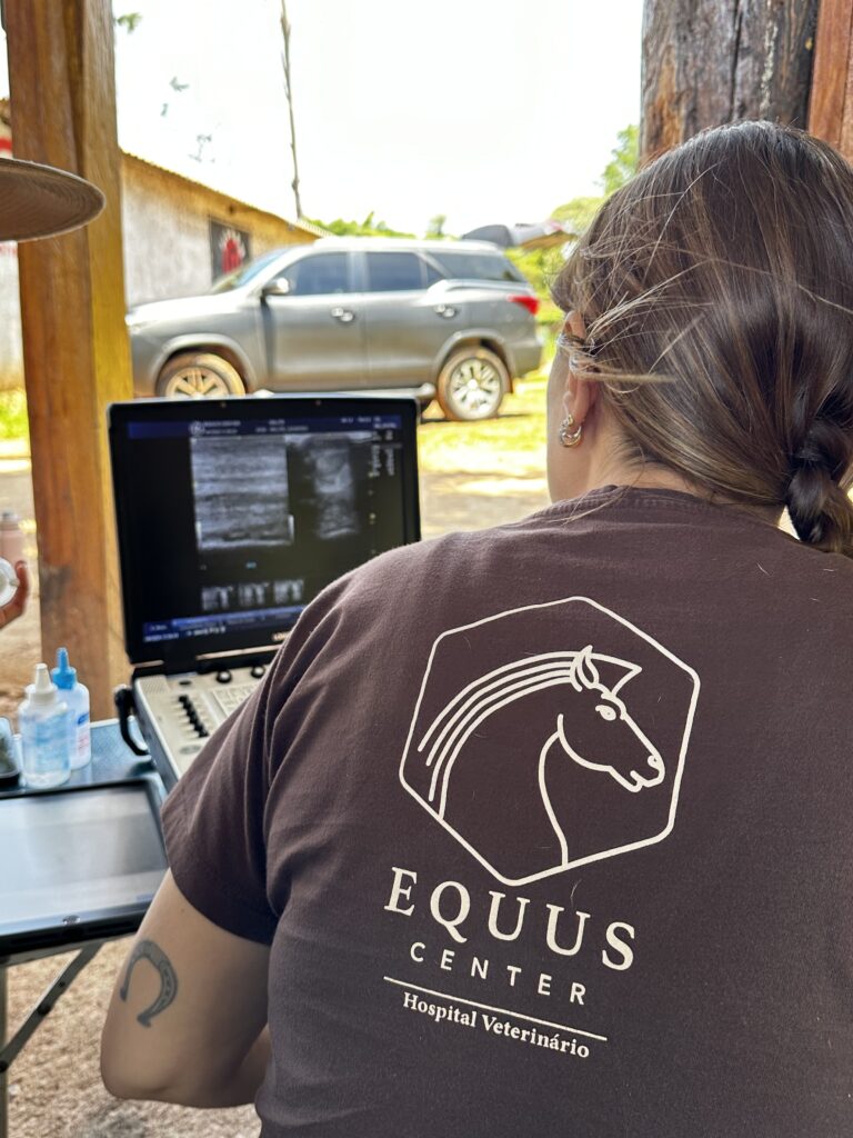 9B6B4B42-3D8C-40B6-AF95-E1681BF91272-export