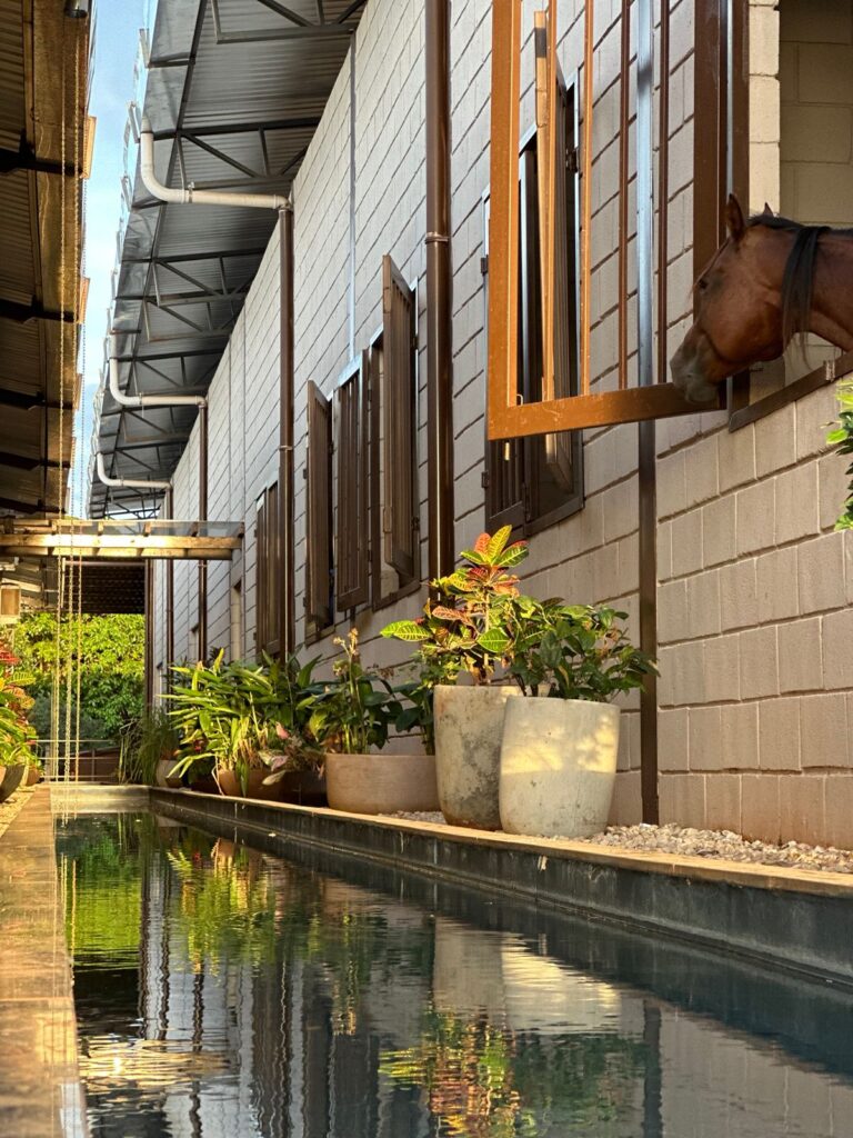 WhatsApp Image 2025-12-18 at 15.38.32 (3)