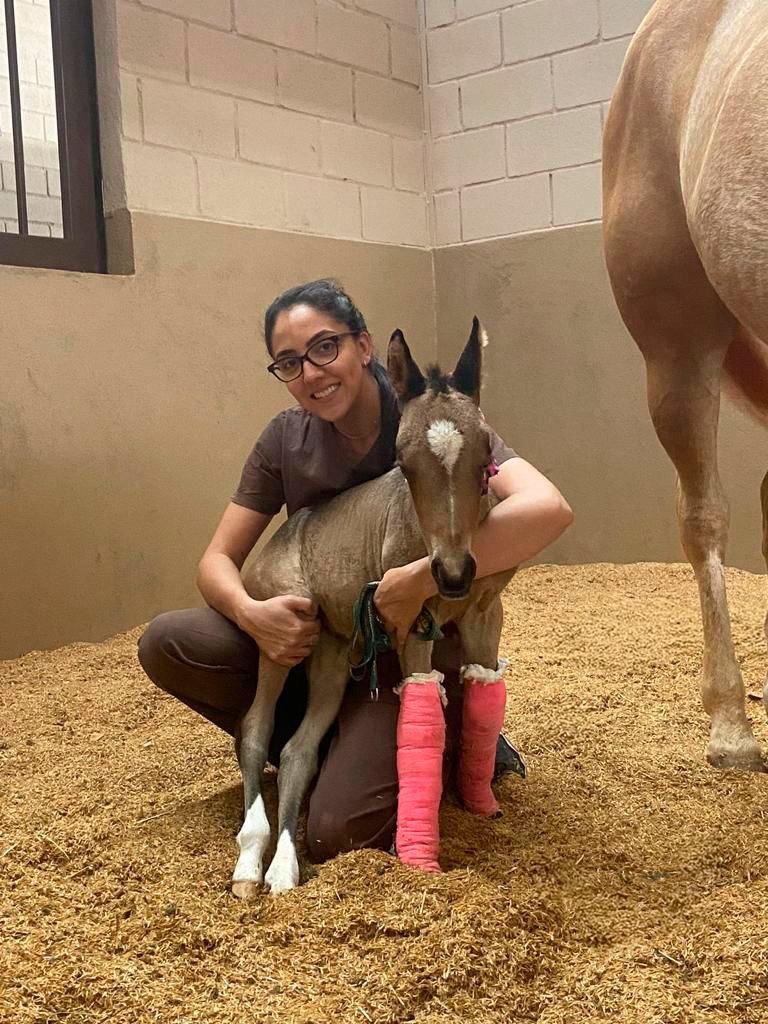 WhatsApp Image 2025-12-19 at 14.41.26