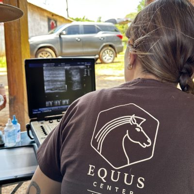 9B6B4B42-3D8C-40B6-AF95-E1681BF91272-export