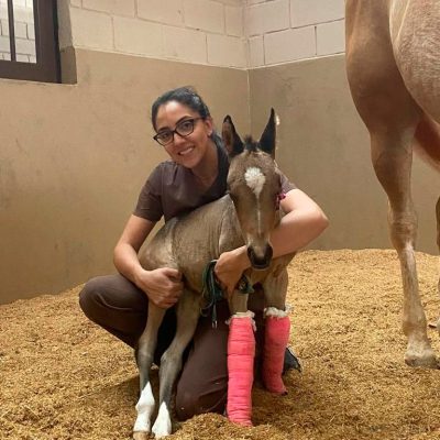 WhatsApp Image 2025-12-19 at 14.41.26